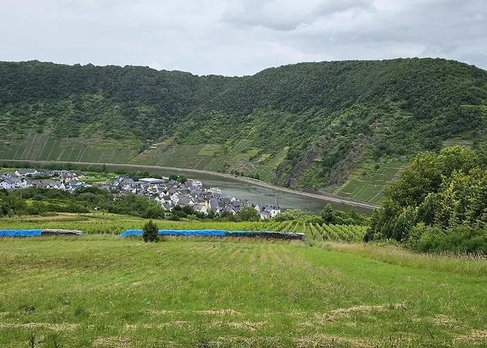 Kippehaeusje Briedern