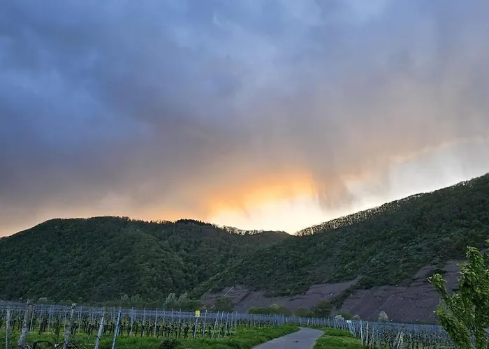 Kippehaeusje Apartamento